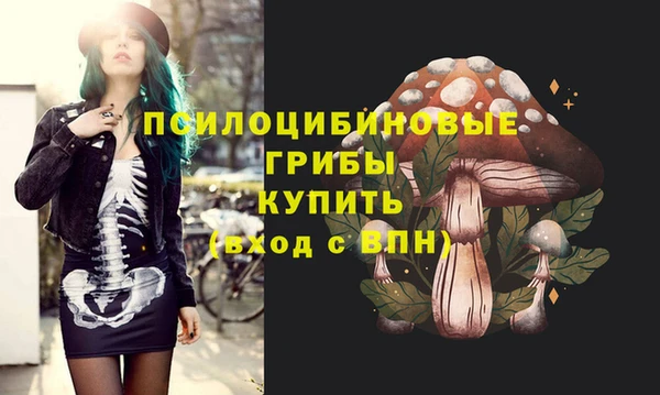 прущие крисы Алексин