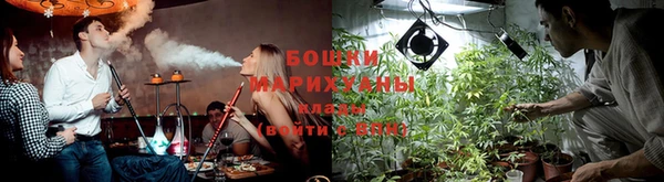 прущие грибы Рославль