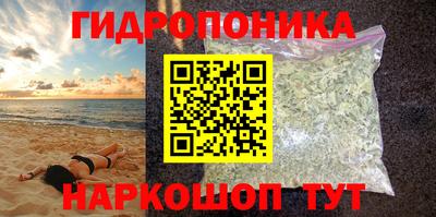 спиды Заводоуковск