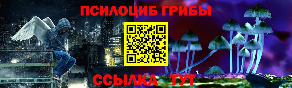 Муравленко  Псилоцибиновые грибы ЛСД  купить закладку  Псилоцибиновые грибы Magic Shrooms  Вход с VPN 